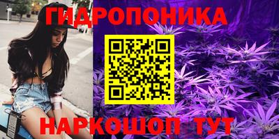 гидра Пенза