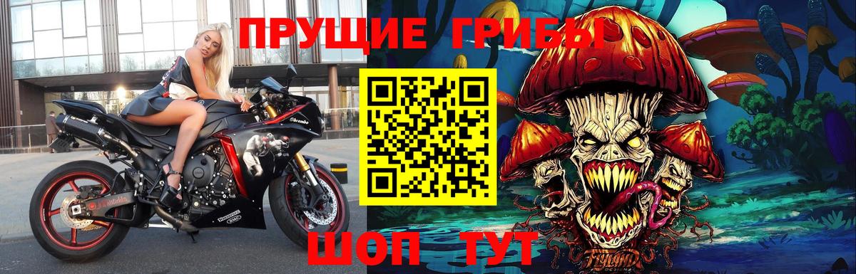 Псилоцибиновые грибы Psilocybine cubensis  Вход с VPN  Галлюциногенные грибы ЛСД  Тихвин 