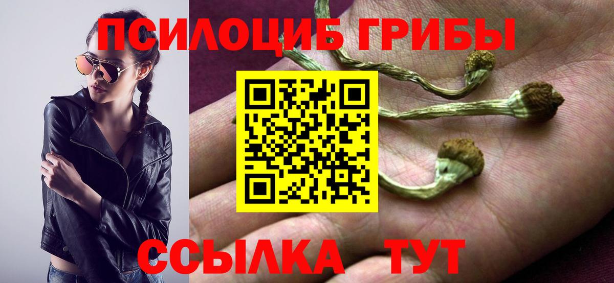 Галлюциногенные грибы Cubensis Тихвин